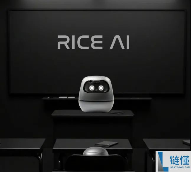 什么是RICE AI(RICE)币?RICE代币经济学、未来展望及价格预测