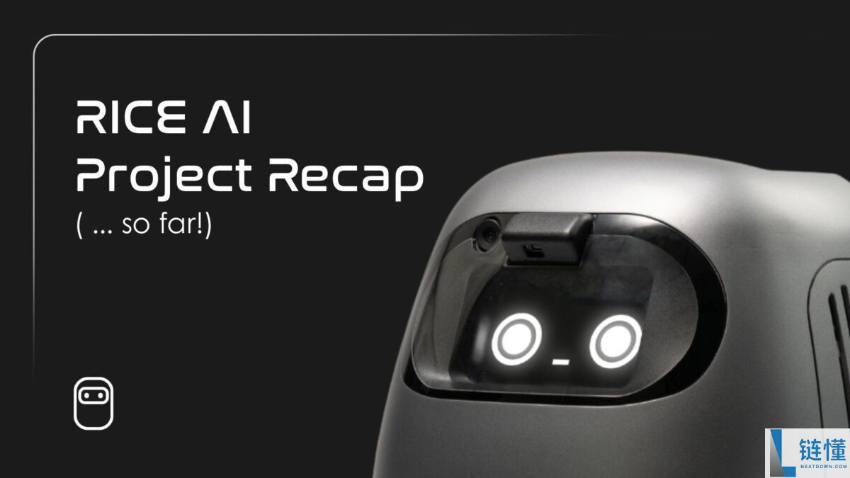 什么是RICE AI(RICE)币?RICE代币经济学、未来展望及价格预测