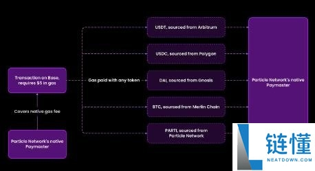 什么是Particle Network