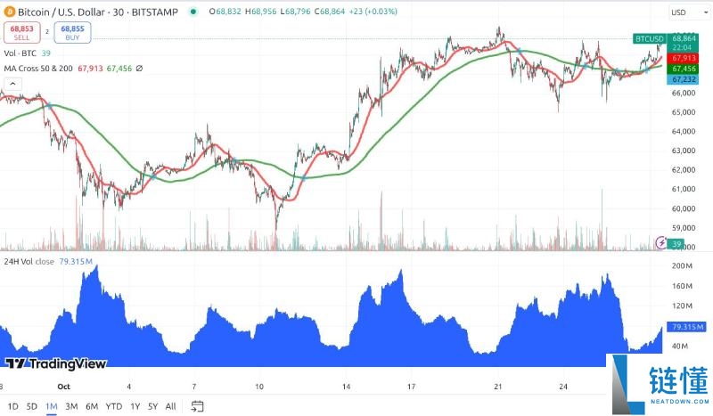 加密货币的牛市与熊市是什么?如何生存并获利?2025新手指南
