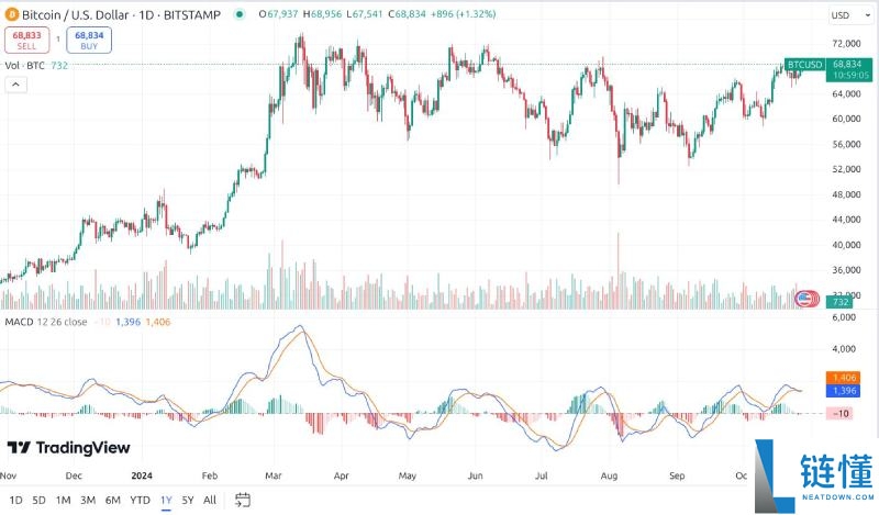 加密货币的牛市与熊市是什么?如何生存并获利?2025新手指南
