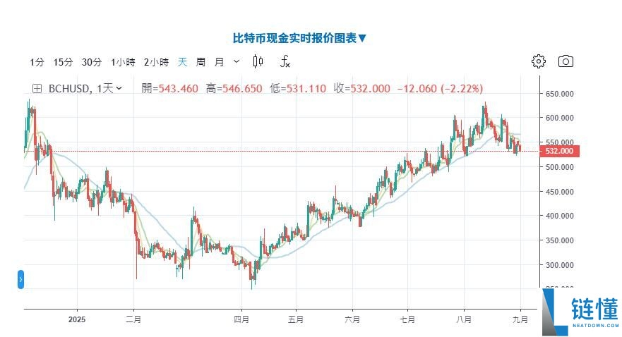 比特币现金(BCH币)是什么?2025年还有上涨空间?BCH未来展望