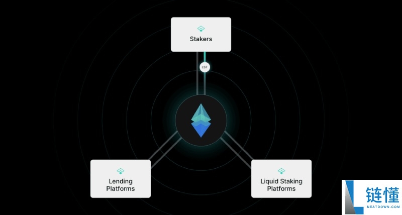 Treehouse(TREE币)是什么?未来潜力如何?TREE价格预测及未来展望
