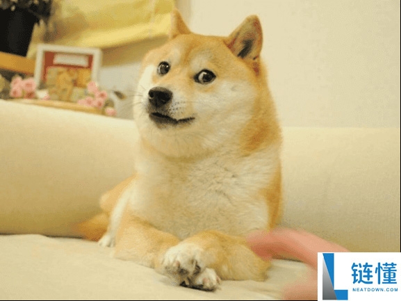 狗狗币是什么?值得投资吗?一文解析马斯克最爱的Dogecoin