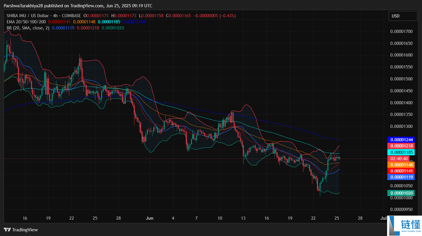 2025.11.26 SHIB近期价格分析:价格预测上涨101%,达到0.000048美元