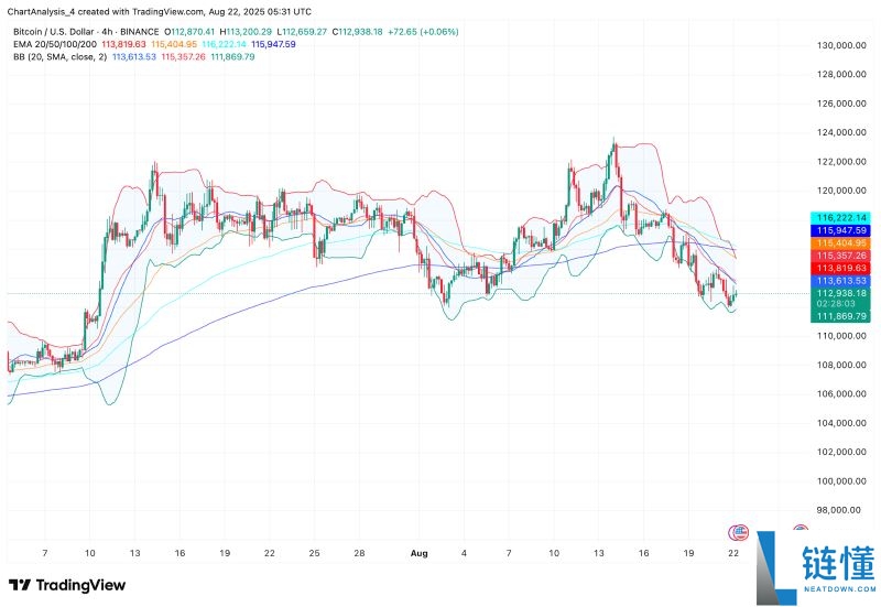 谁是2025年百倍币?BTC将暴涨至30万美元?BTC价格预测