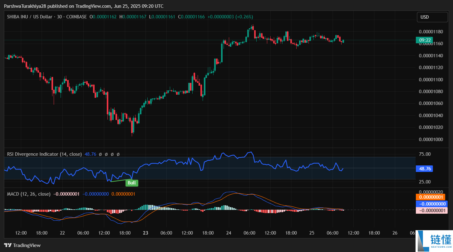SHIB今日价格预测:BTC达到12.5万美元,SHIB能达到0.0001美元吗?