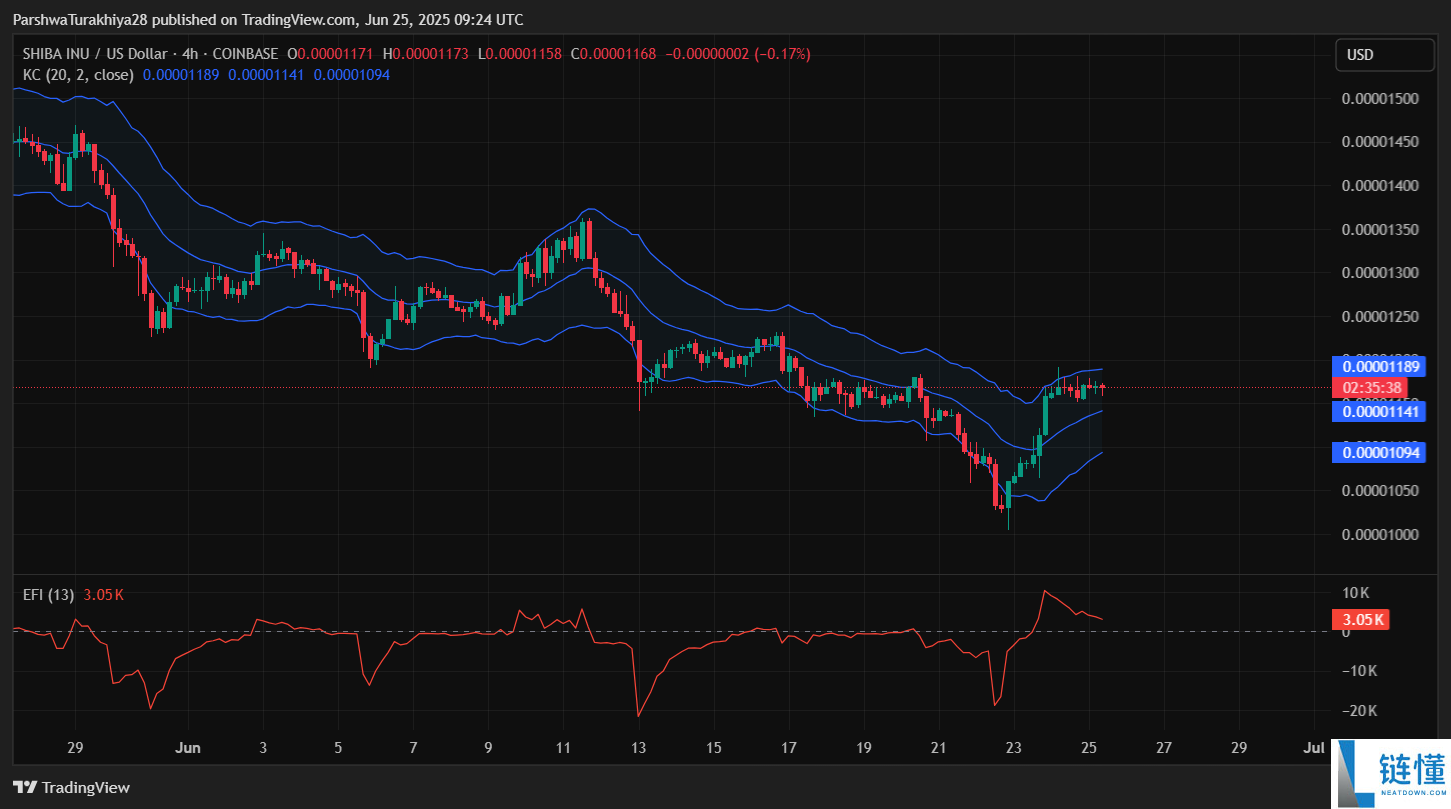 SHIB今日价格预测:BTC达到12.5万美元,SHIB能达到0.0001美元吗?
