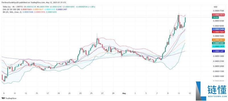 SHIB今日价格预测:BTC达到12.5万美元,SHIB能达到0.0001美元吗?