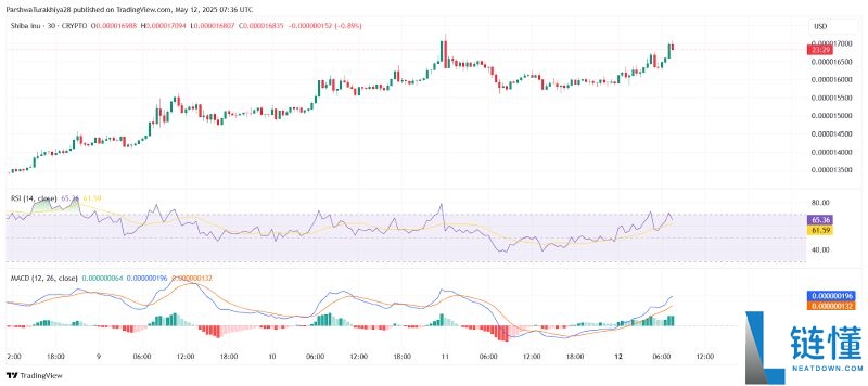 SHIB今日价格预测:BTC达到12.5万美元,SHIB能达到0.0001美元吗?