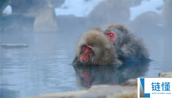 多地病院接诊泡温泉晕厥患者 确诊热射病
