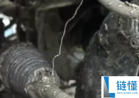 40余车碾压海鲜废料臭到没法开：花数千元清洗几回仍有滋味