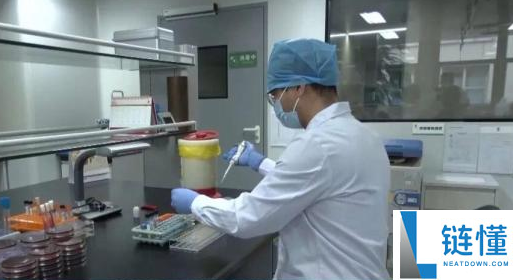 男人养五步蛇当宠物 手动喂食被咬致截肢