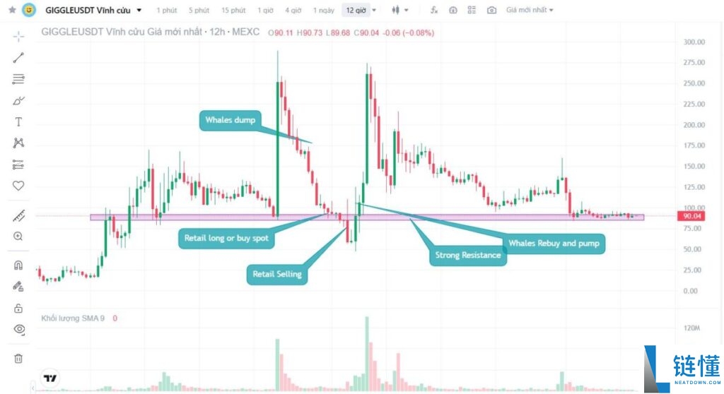 什么是止损狩猎？一文带你看懂巨鲸布局与避坑策略全流程