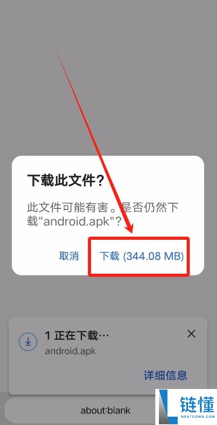 2025年有望实现财富爆炸式增长的10大潜力山寨币(附山寨币的发展历史)