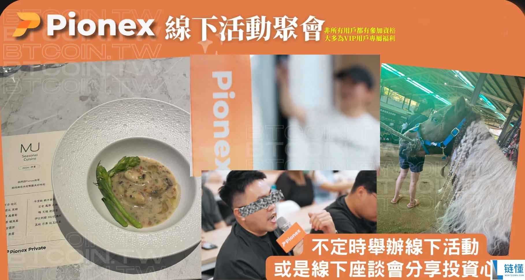 派网是哪个国家的?交易所特色、自动化交易机器人成功背景介绍