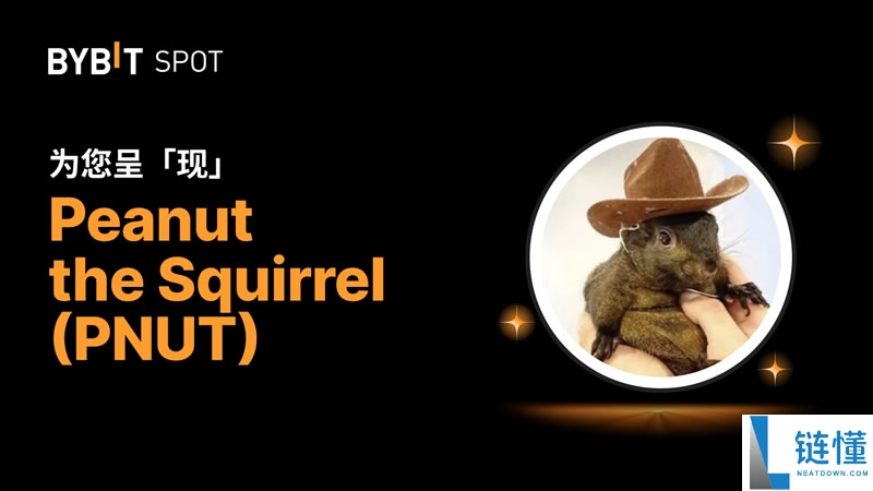 2025年12月值得关注的Pump.fun生态下的热门币种