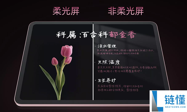 国补价1709.1元起,OPPO Pad Air5首销：支撑插SIM卡