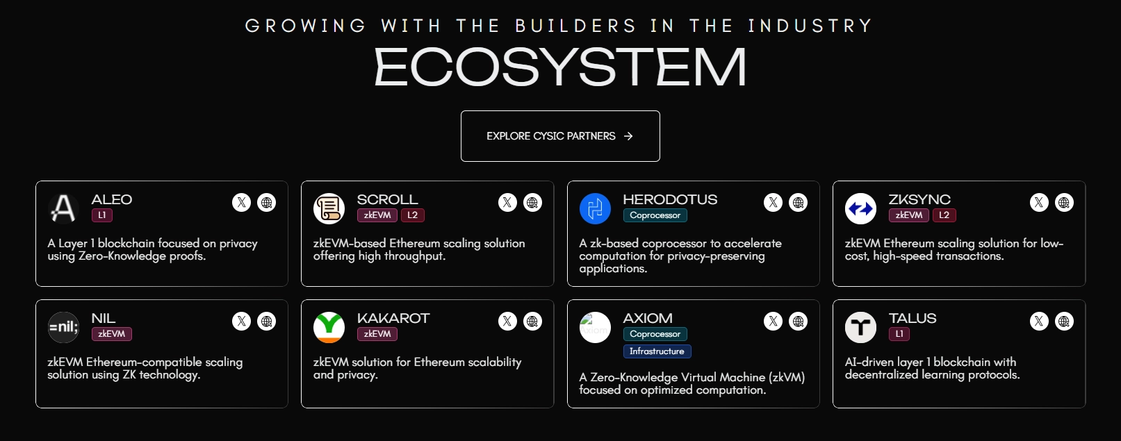 什么是Cysic(CYS)币?值得投资吗?Cysic项目概述和代币经济学介绍