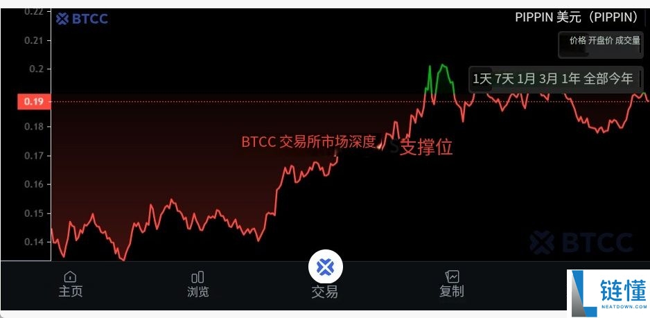 什么是PIPPIN币?PIPPIN运作方式、未来展望及购买指南