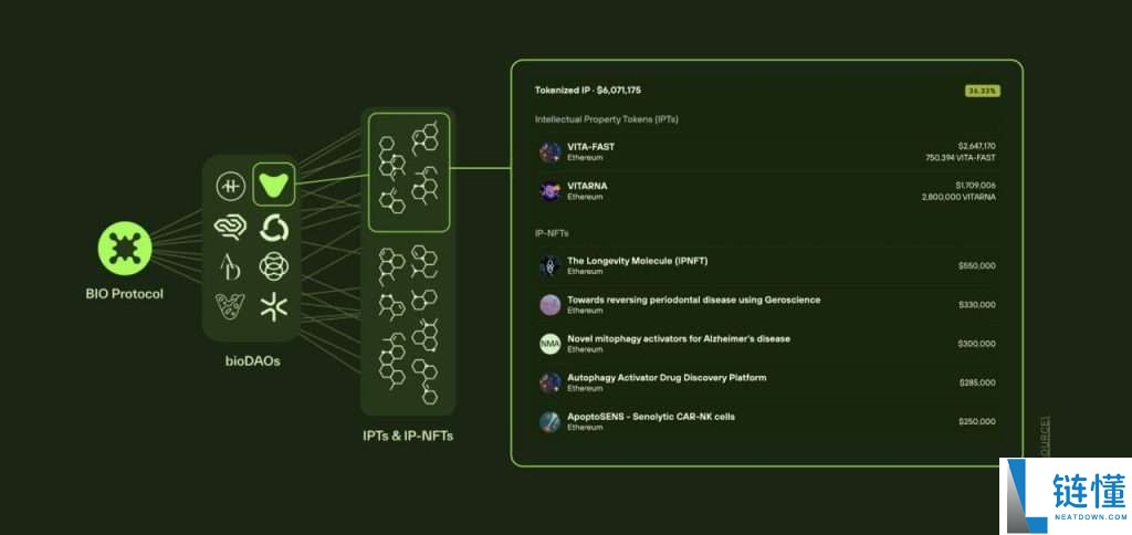Bio Protocol(BIO)币是什么?BIO代币经济学、价格预测及购买指南
