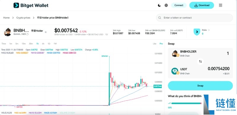什么是Holder(BNBHOLDER)币?未来潜力如何?BNBHOLDER价格预测
