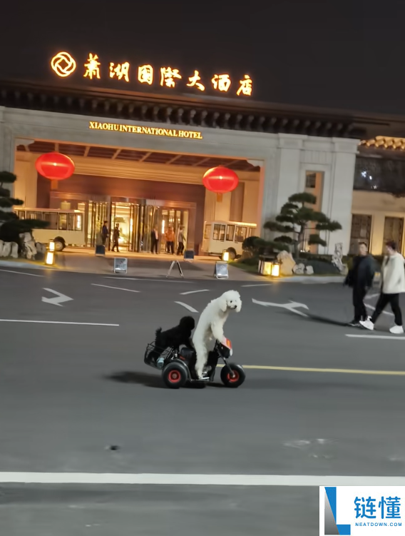 宠物狗骑电动车带另一只狗上街引争议 外地交警回应
