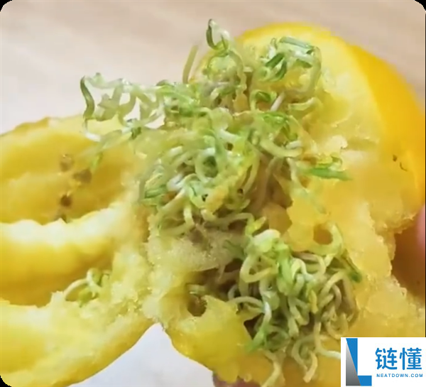 西红柿放30天外皮无缺 咬开辟现外面长满豆芽 专家:基本上可以食用