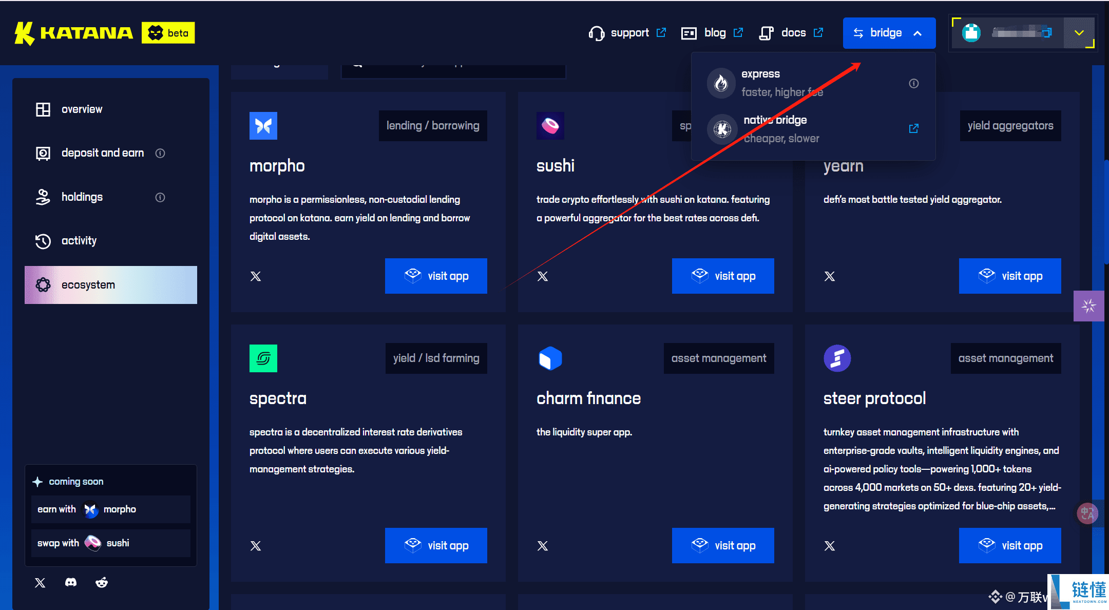 专为DeFi设计的公链Katana详细交互教程