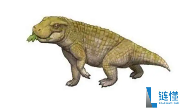 鲸鱼和鳄鱼的趋同进化,鲸鱼有良多处所都像鳄鱼 曾经也有鳄鱼很像鲸鱼