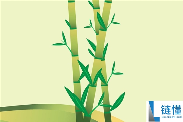 竹子穿透路灯生长引关注 网友：竹顽强