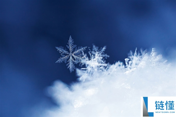 网友在雪山中偶遇幼时孙悟空：蜷缩成一团 像猕猴桃