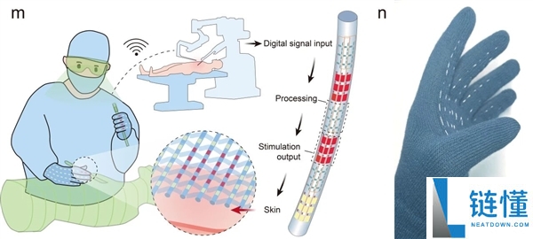 复旦团队严重打破 世界首款纤维芯片问世：大范围集成电路 卡车碾压也不怕