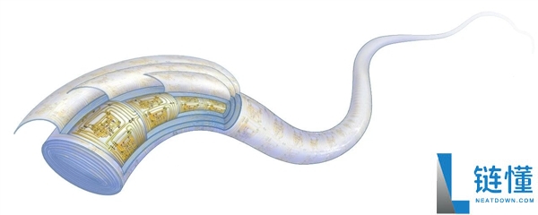 复旦团队严重打破 世界首款纤维芯片问世：大范围集成电路 卡车碾压也不怕