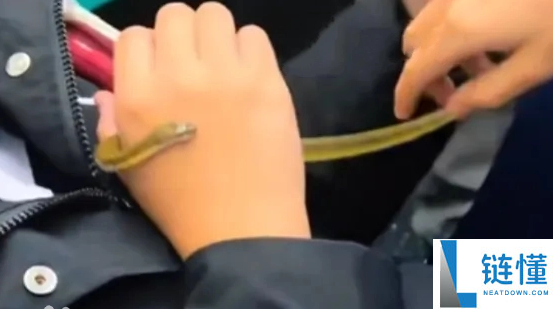 深圳地铁车箱内有人取出活蛇顽耍 官方告急回应