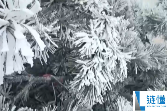 衡山冻成了“冰河世纪” 景区提示：步行来回需10小时 请谨严抉择