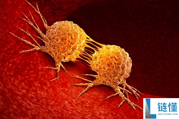 霉菌这类致癌物藏在家里：良多人浑然不知