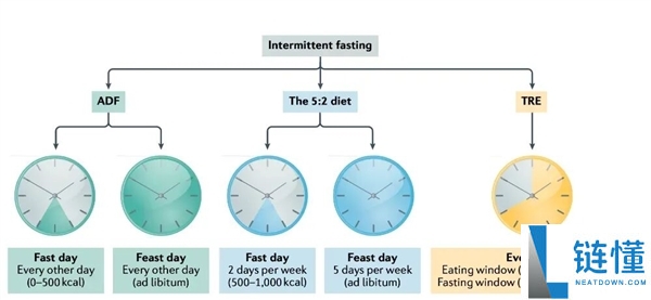 “饿死肿瘤”的办法居然真的找到了,