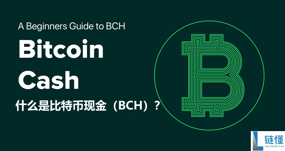 什么是比特币现金（BCH）？如何运作、未来如何？如何购买BCH？