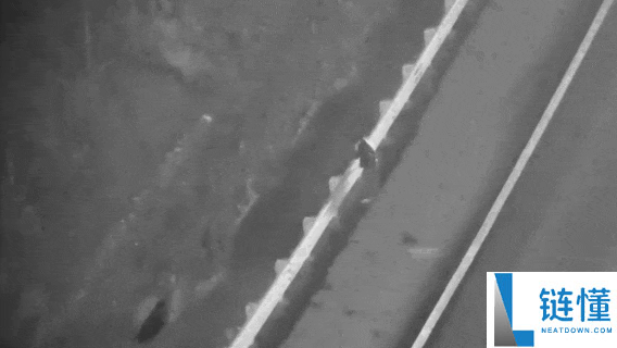 男人夜晚打骂后误入高速失踪 无人机热成像仅1分钟找回