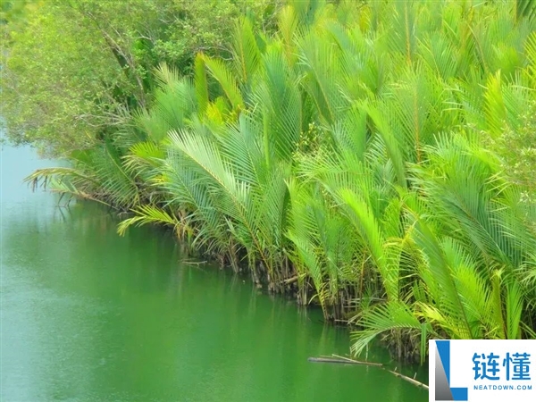 印度尼帕病毒暴发,千万不要碰路边摊的这一类东西