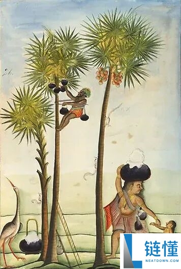 印度尼帕病毒暴发,千万不要碰路边摊的这一类东西