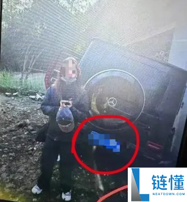 演员金晨被曝闯祸逃逸让助理顶包 交警回应：正在核实