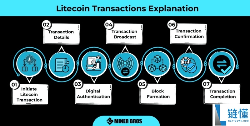 莱特币(LTC)vs比特币(BTC):有何区别?交易速度,费用和发展前景对比