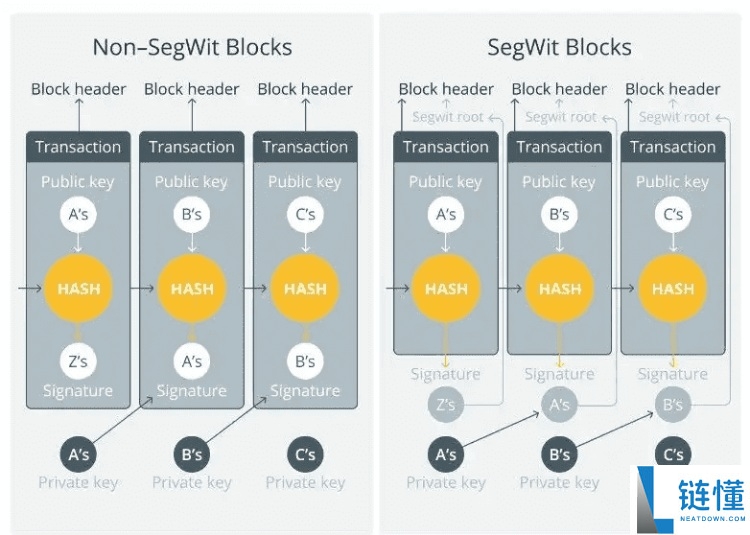 莱特币(LTC)vs比特币(BTC):有何区别?交易速度,费用和发展前景对比