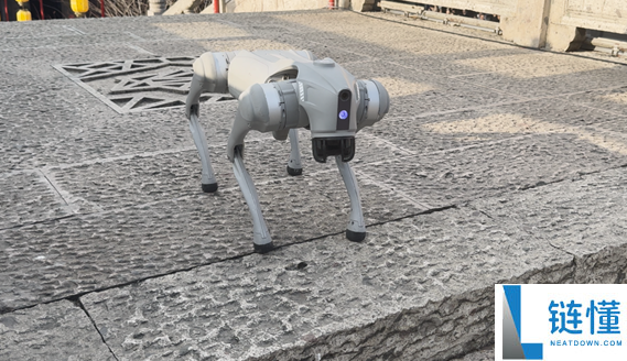 王兴兴谈宇树机械狗成全球销冠:人人承认度高 本钱有优势