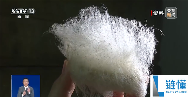 自制霉豆腐火了,央视提示不要实验:能够暴发致病杂菌