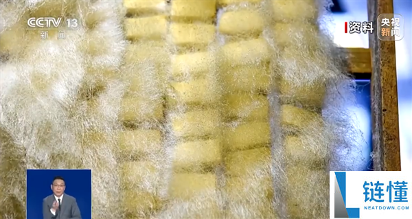 自制霉豆腐火了,央视提示不要实验：能够暴发致病杂菌