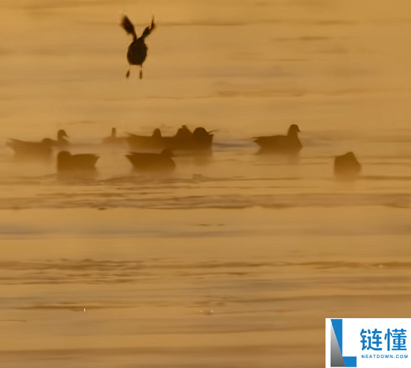 奇迹呈现,内蒙古演出“水煮黄河”:好像仙境
