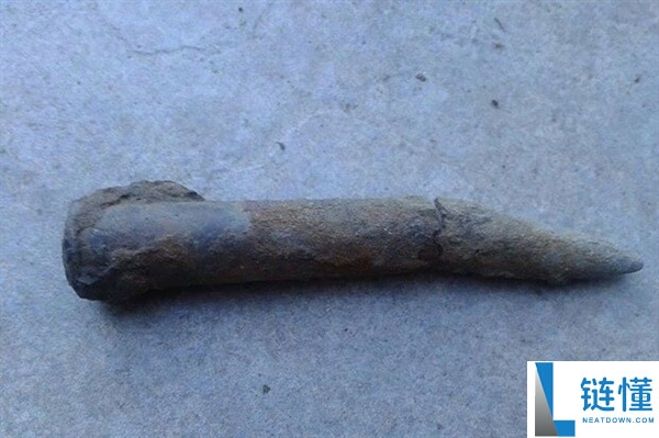 法国一男人将未爆炮弹塞入直肠 病院急召拆弹专家处置